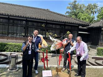 雲林虎尾鎮民愛賞櫻 公所攜手日本育櫻會種河津櫻花