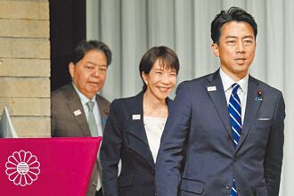 新聞透視》高市早苗議員票告急 小泉居上風