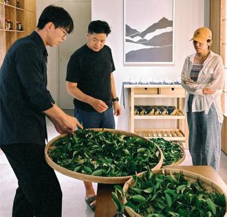 新北首座農創所「有種茶」開張！青農當店長教你品茶