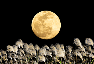 中秋10禁忌 命理師警告：2類人不宜賞月