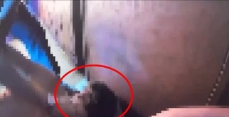 逗留花博廁所外不爽遭勸離　怪男持美工刀傷人遭壓制