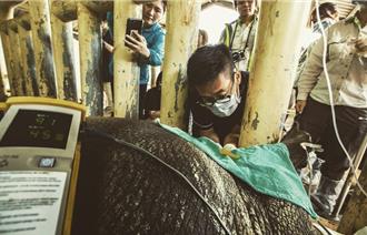 六福集團啟動接班人計畫！打造人才梯隊 強化企業韌性