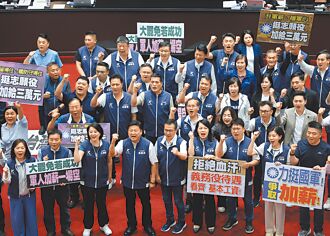 明年總預算卡關 藍白擬提復議退回
