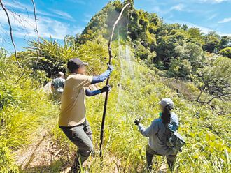 4黑鳶掛網慘死 動保所拆除