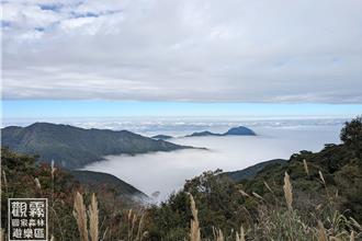 解鎖天空的語言！觀霧推主題活動 揭雲海、霧氣神秘面紗