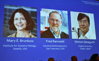 2025諾貝爾生醫獎由美、日3學者共享 研究免疫耐受性獲殊榮