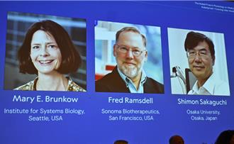 諾貝爾生醫獎3學者找出免疫系統「看守者」 可望治療癌症、糖尿病