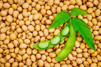 陸「市場當籌碼」成新王牌 郭正亮：美國一點辦法也沒有