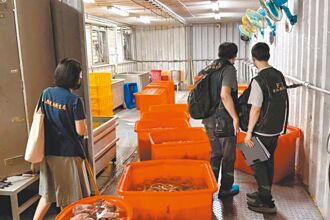 黑心豬大腸 北市1.3噸流向不明