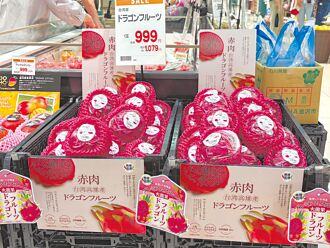 編6億助農產外銷 上半年反衰退