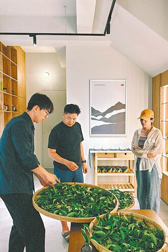 坪林有種茶 一日店長開跑