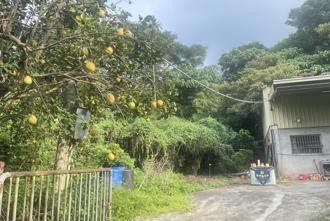 小康男遇诈骗倾家荡产！失踪14个月 中秋被发现陈尸自家果园