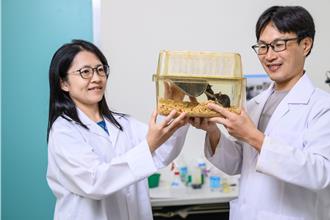 陽明交大突破神經成像瓶頸！精準捕捉大腦放電如銀河尋星