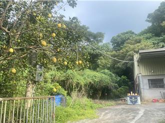 彰化小吃店老闆失蹤14個月 中秋被發現剩紅衣枯骨