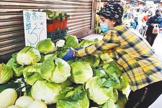 高麗菜價格恐暴跌！農業部示警：種植量連40日達警戒
