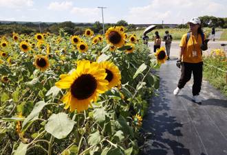天氣》首迎東北風略降溫！北部現雨勢 中南部午後雷陣雨