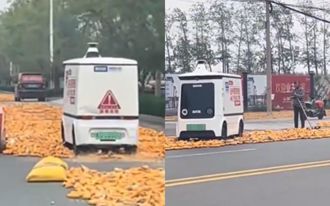 程式設計師也難預料！智駕車闖「玉米晾曬場」 陸農婦好無奈