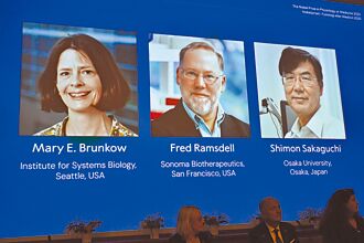 調節性T細胞 可用於癌症、移植