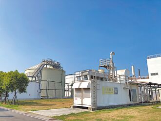 能源化僅10％ 養黑水虻價值更高