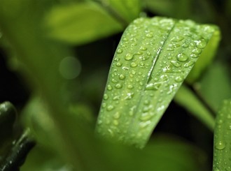 寒露來了！4生肖成暴發戶 第1名事業財超旺