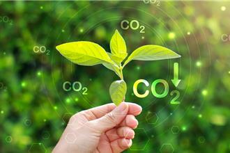 全球能源大洗牌！再生能源發電首超煤炭 陸技術成關鍵