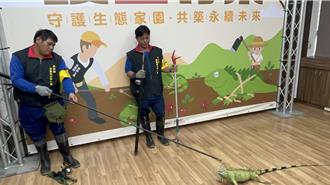 屏東綠鬣蜥獵人訓練班再開 6場次800名額10／9開搶