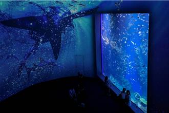 才開幕就被罵？台中海洋館票價太貴 議員喊：半小時逛完