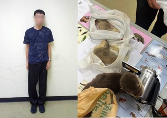 台男身藏保育動物闖關遭逮 全塞絲襪「下場出爐」