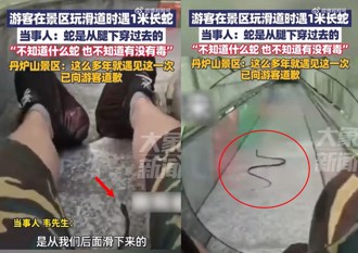 風景區溜滑梯被「蛇」超車 男驚呼：趕時間你先走