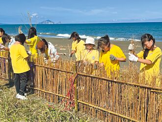 搶救沙灘 宜蘭師生築綠色屏障
