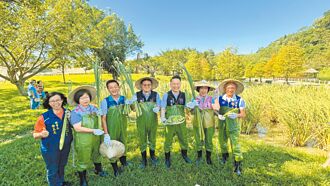 龍潭 三坑水鄉茭遊趣 推食農教育