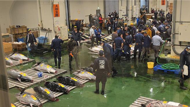 基隆市长谢国梁率领市府产发处及业者代表，赴日本东京豊洲渔市及筑地渔市考察，希望能启发基隆崁仔顶渔市的转型。（基隆市政府提供／张志康基隆传真）