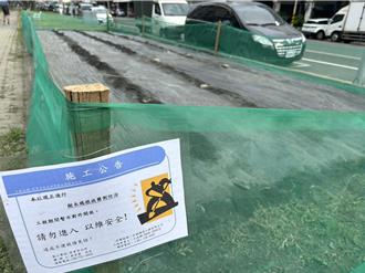 屏東瑞光路綠廊爆褐根病 近百棵樹亡 公所啟動分區試點整治