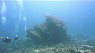 影》綠島「大香菇」珊瑚變身外星異形！潛水客驚呼：雙眼發光
