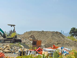 高雄大坪頂 變柏油山大禿頭