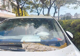 假刑警占車位 大園警：觸法