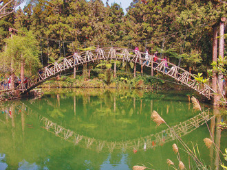 避暑勝地不是阿里山 最強森林遊樂區曝 半年狂吸70萬人