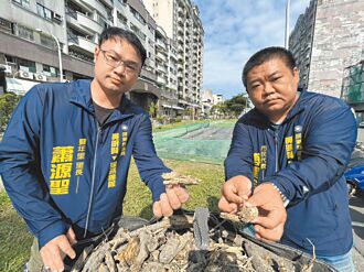 屏東瑞光路綠廊褐根病 分區整治