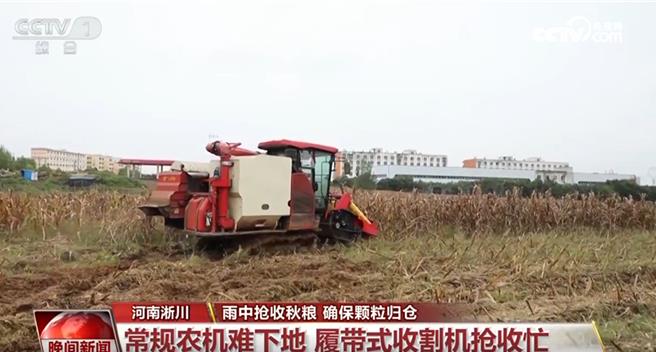 持续降雨影响收割华北各地抢收抢烘确保秋粮应收尽收。（大陆央视）