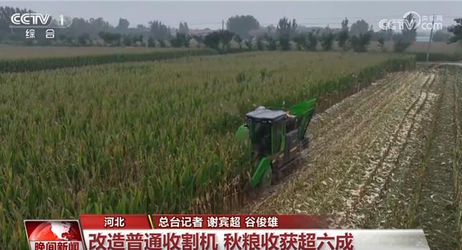 持续降雨影响收割华北各地抢收抢烘确保秋粮应收尽收。（大陆央视）