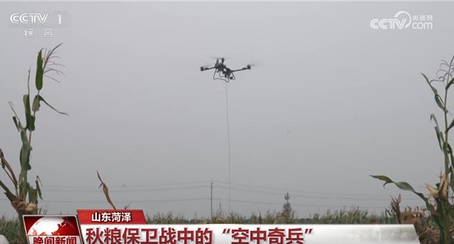 持续降雨影响收割华北各地抢收抢烘确保秋粮应收尽收。（大陆央视）