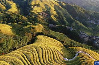 大陆国安部揭「美女博主间谍案」　大学生机警举报阻渗透