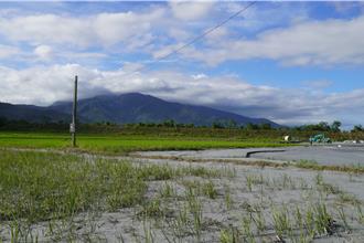 花莲良田全毁！800公顷农地淤泥淹没 农业部曝3大復育方案