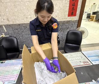 國慶日停車場驚見幼貓 瑞芳警暖心救援送養中