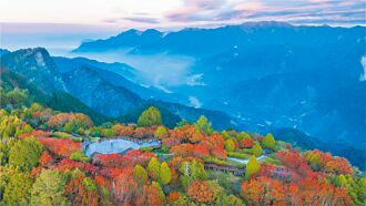 阿里山遊樂區 獲國際生態旅遊雙獎