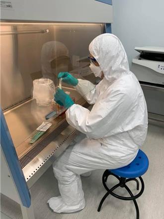 水灾后警戒！农业部：人畜共通传染病「类鼻疽」需防范