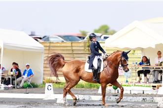 靠馬找回平衡感 宜蘭聽障少女用馬術奪全國冠軍