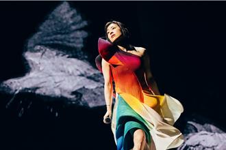 神級歌手宇多田光25周年企劃登台　9位攝影師捕捉9種舞台瞬間