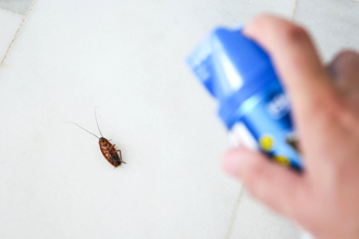 毒性强还会累积体内 环境部：禁用杀虫剂「甲氧滴滴涕」