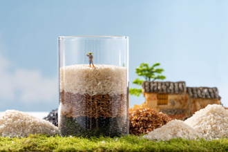  陸糧食應急能力提升！36大城市成品糧油儲備可保15天